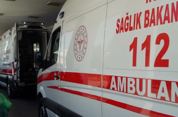 Ecel bodrum katta yakaladı!