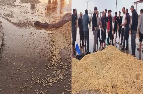 Kuraklık, don, dolu yetmedi: