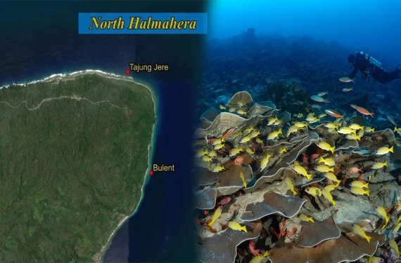 Keşfettiği yere ismi verildi