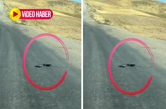 Bu görüntüler bugün çekildi