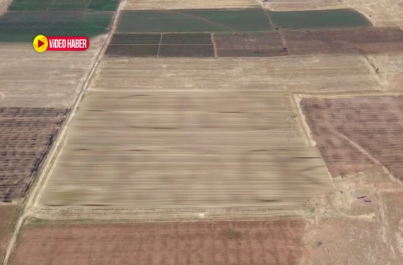 Tarlasına dev harflerle yazdı