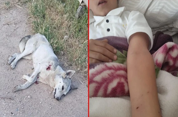 Saldırdığı çocuklar hastaneye kaldırıldı