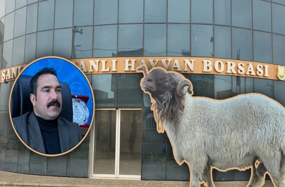 2023 verileri açıklandı