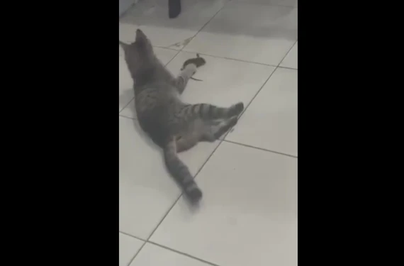 Şanlıurfa'da