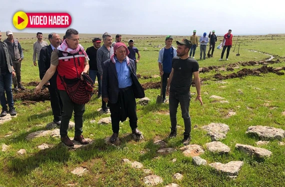 Karacadağ eteklerinde yetişiyor