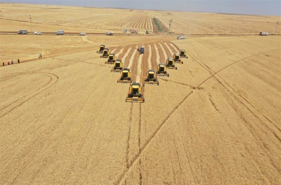 İşte ihale detayları