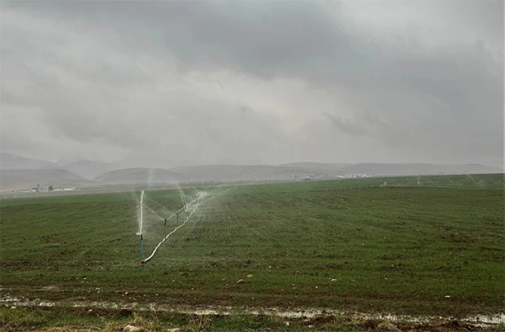 Şanlıurfa'da çiftçiler arasında elektrik krizi!