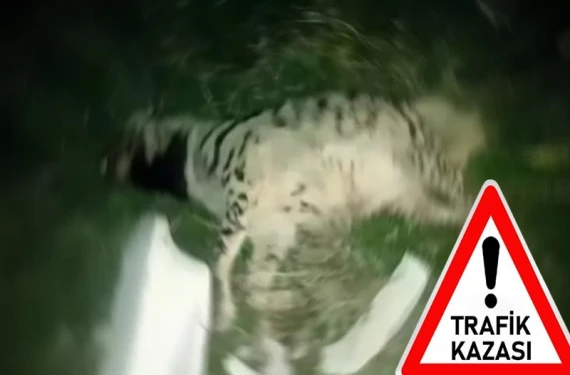 Kırmızı listede yer alıyordu!