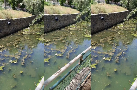 Mahalleliyi isyan ettiren koku
