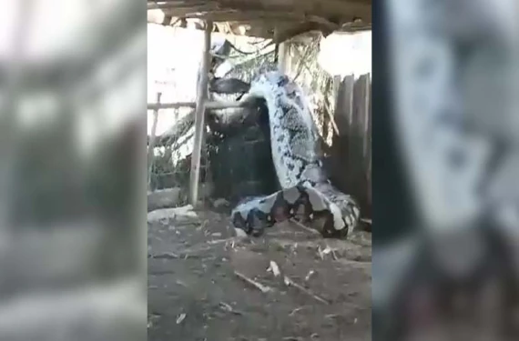 Kabus gibi anlar kameraya yansıdı:
