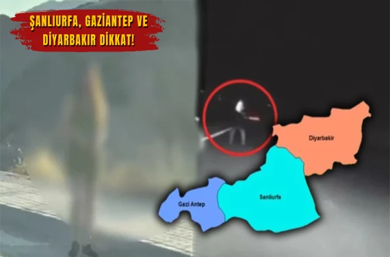 Yumurta çetesinden sonra bir de bu çıktı