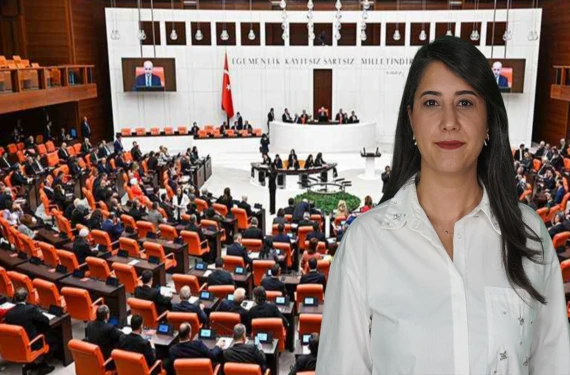 Konu Meclis'e taşındı