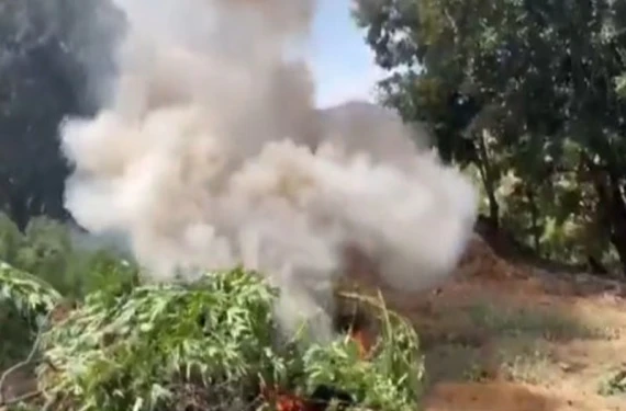 İHA’lar havalandı zehir tarlaları ortaya çıktı!