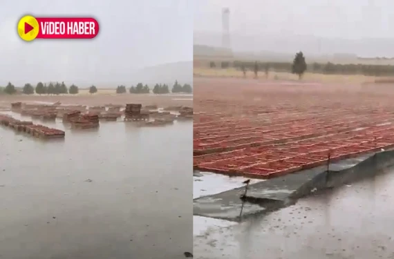 Tonlarcası heba oldu