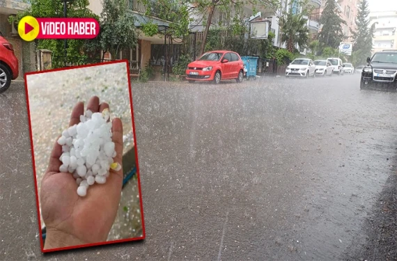 Fıstık tarlaları zarar gördü