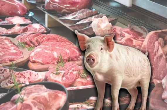 5 ilde 7 vaka tespit edildi