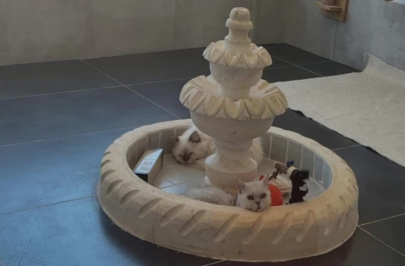 Çiftliğe denetim...