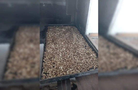 Şanlıurfa’da bu da oldu!