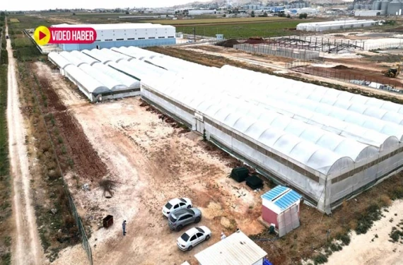 Yıllarca yurt dışından getirildi!