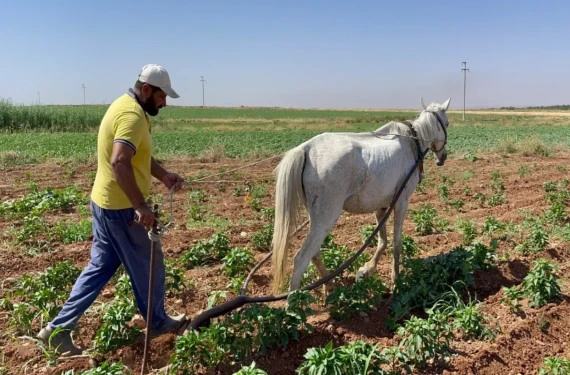 Sayılı günler kaldı…