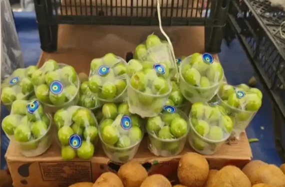 Almanya'ya ihraç edilen erikte kimyasal!  Almanya’da toplatıldı