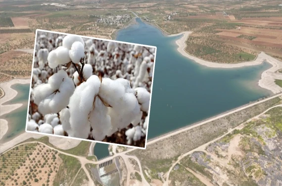 Erken su kesintisi kararı Suruç'u karıştırdı: