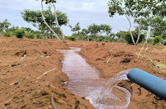 Şanlıurfa'da korkulan oldu!