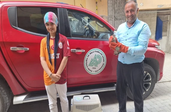 Yırtıcı kuşun hayatını kurtardı