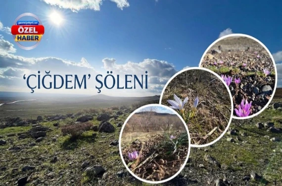 'Çiğdem' bayramı!