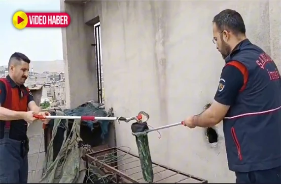 Paniğe neden oldu!