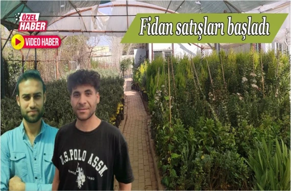 Fidan satışları başladı