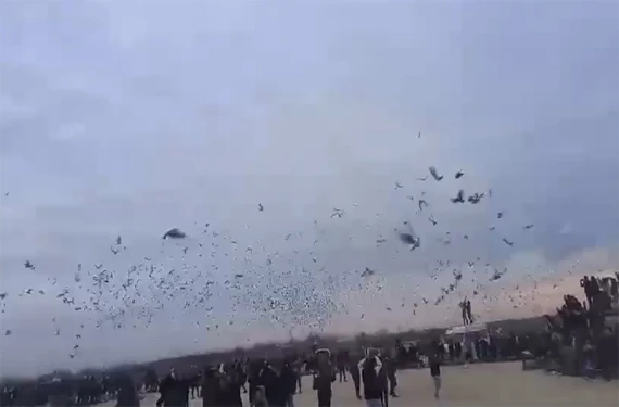 Destekler sürüyor