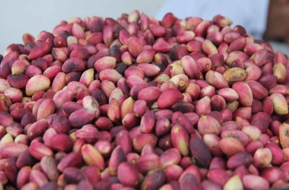 Gören bir daha bakıyor…