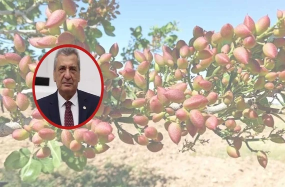 Vekilden korkutan uyarı: