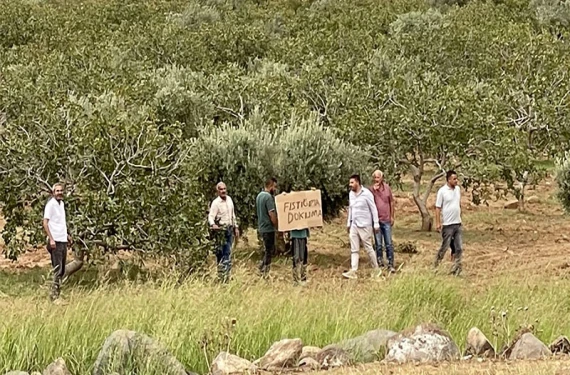 “Fıstığıma dokunma”