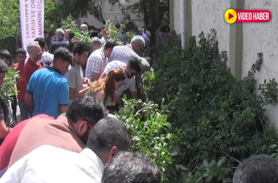 Binlercesi ücretsiz dağıtıldı
