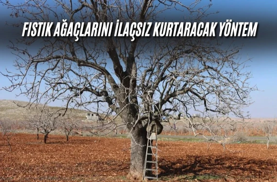 Eski kıyafetler…