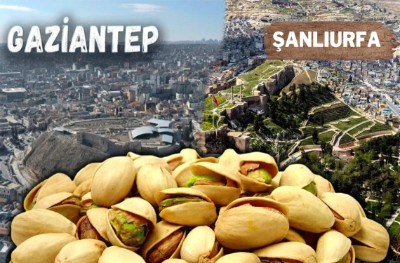 Bir yatırım daha...