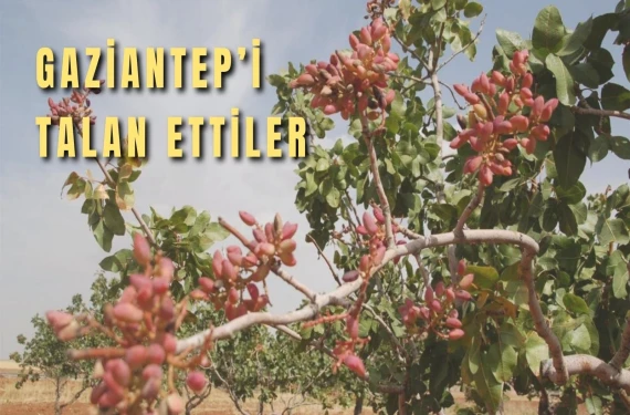 Gaziantep'i talan ettiler