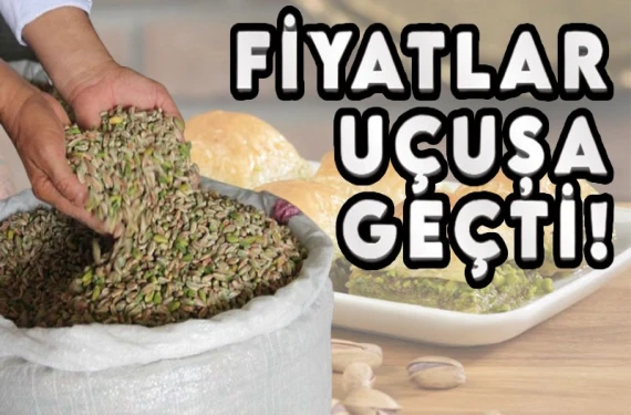 Fıstığın fiyatı 2 günde 400 lira arttı