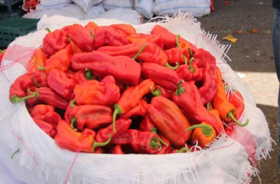 Urfa'da isot tezgahta: