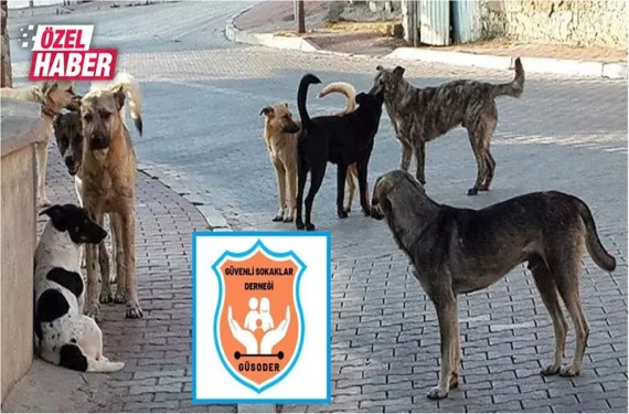 Şanlıurfa'da korkunç tablo!
