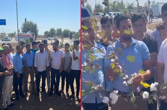 Pamuğun üretim merkezinde çiftçiler isyanda
