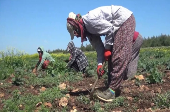 Acı göç başladı…