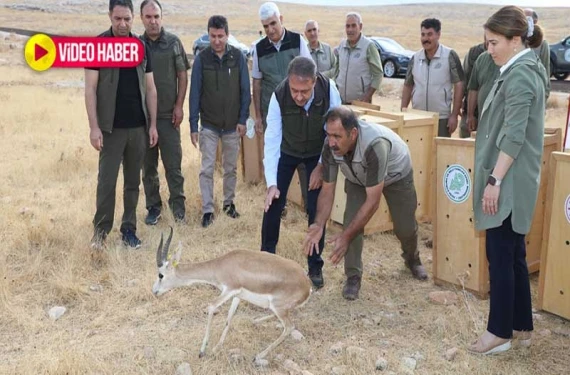Şanlıurfa'nın sembolü