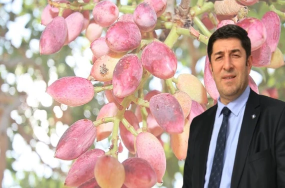 Prof. Dr. Öztürkmen reçetesini sundu