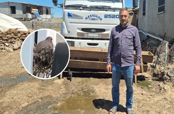 Şoförden insanlık dersi
