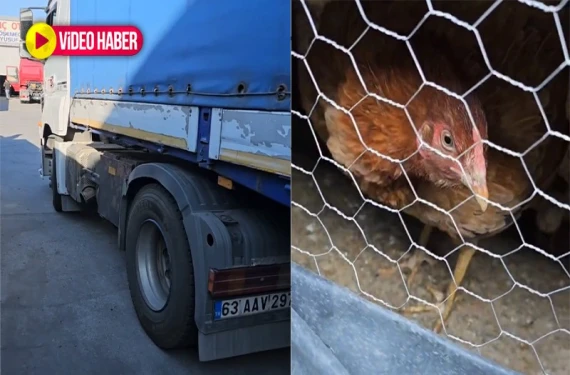 Tır dorsesinde sürpriz!