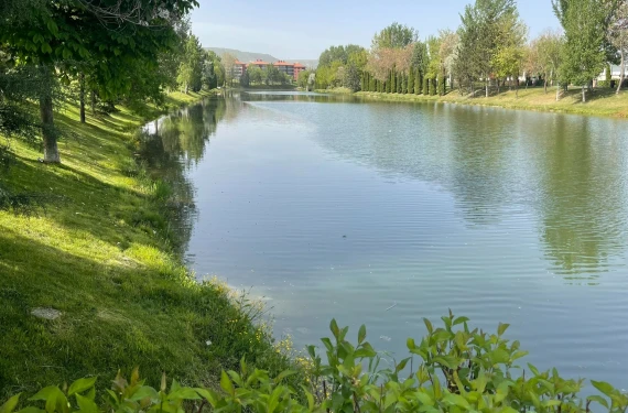 Yeşilin binbir tonu...