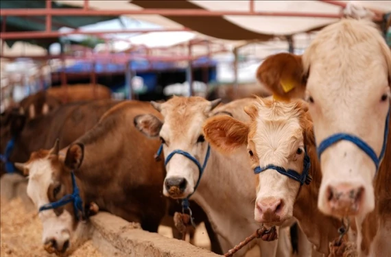 Ticaret Bakanlığı acımadı!